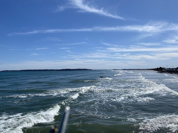 Property Photo: 285 Lynn Shore Dr 710 MA 01902