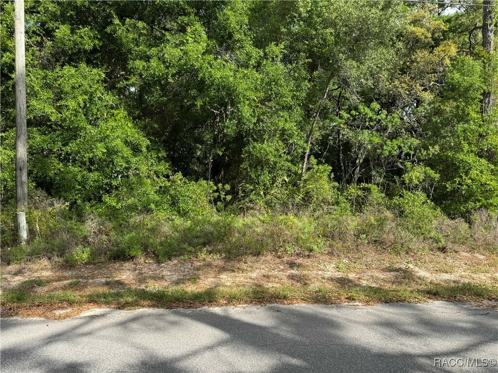 Property Photo: 6623 W Gannet Place FL 34429