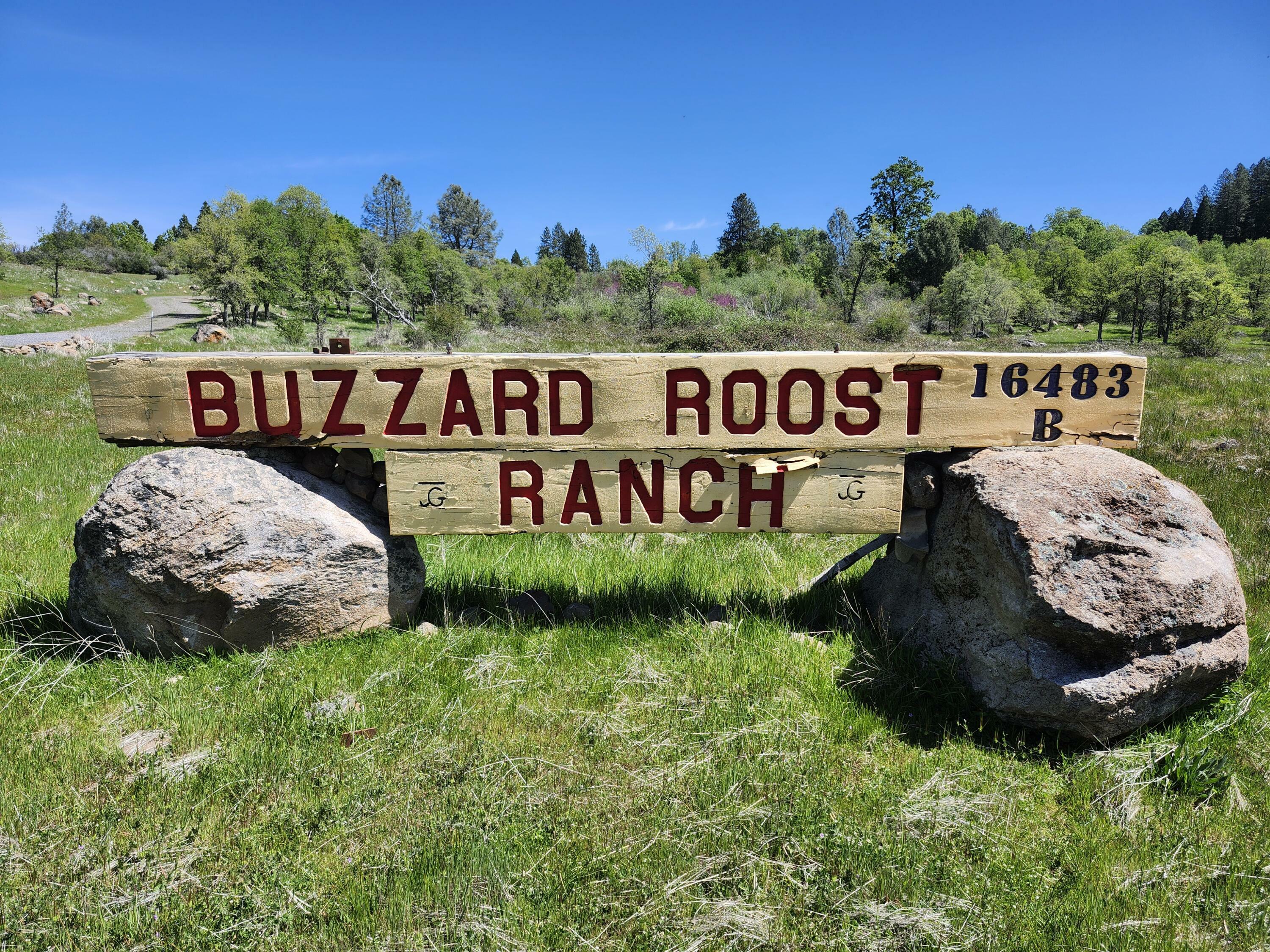 16483 Buzzard Roost Road  Round Mountain CA 96084 photo