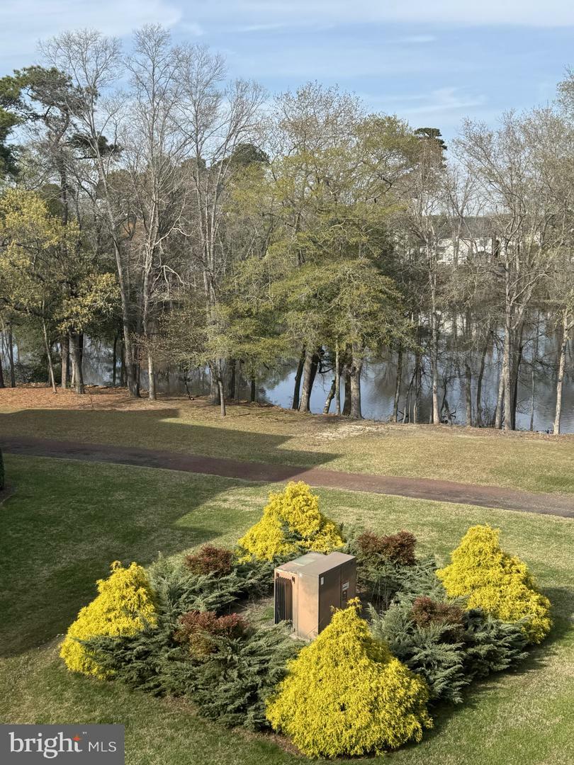 Property Photo: 1103 S Schumaker Drive C-305 MD 21804