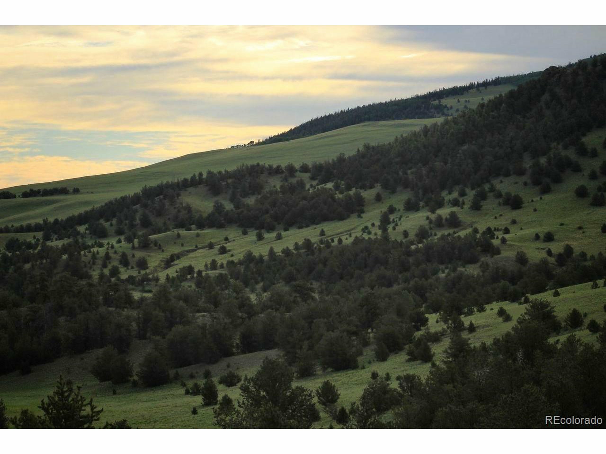 Property Photo: Highway 9 CO 80820
