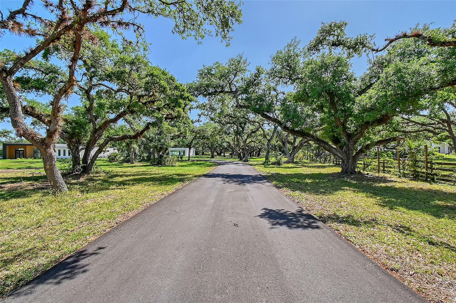 Property Photo: 7200 Chameleon Way FL 34241