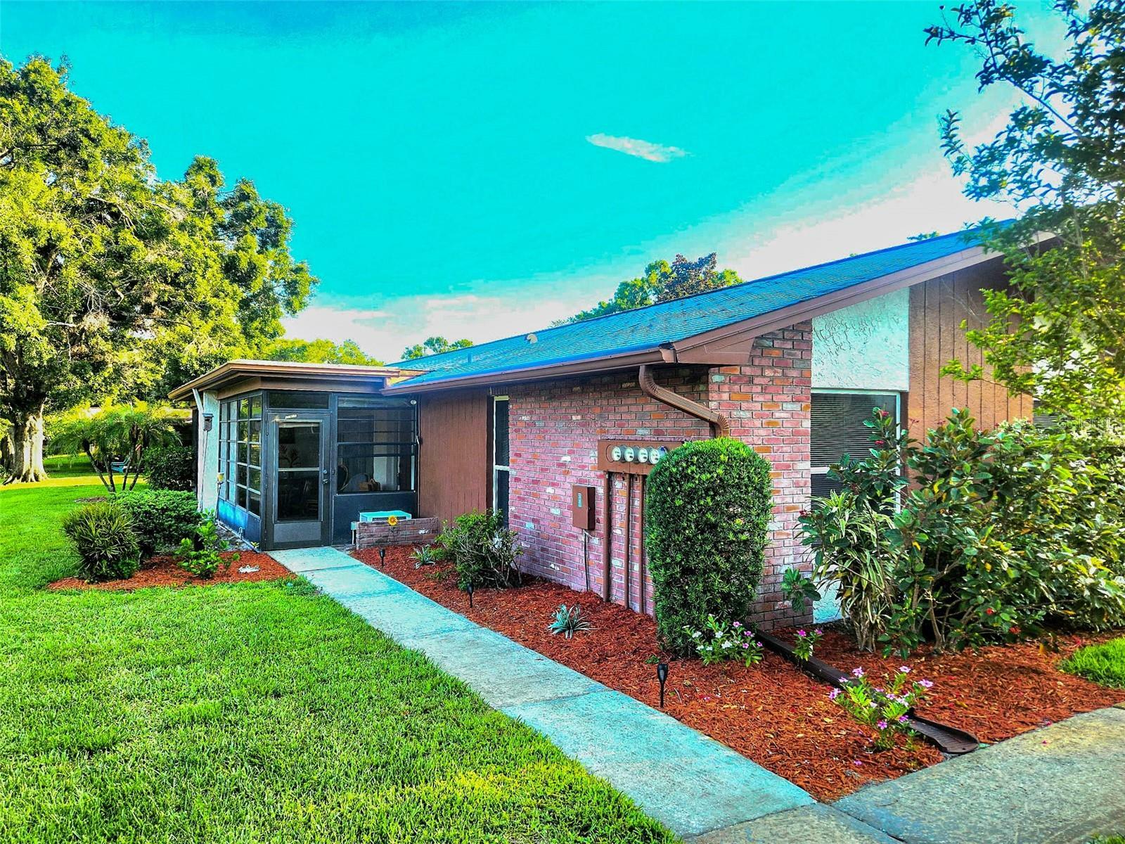 Property Photo: 2241 Shelly Drive D FL 34684