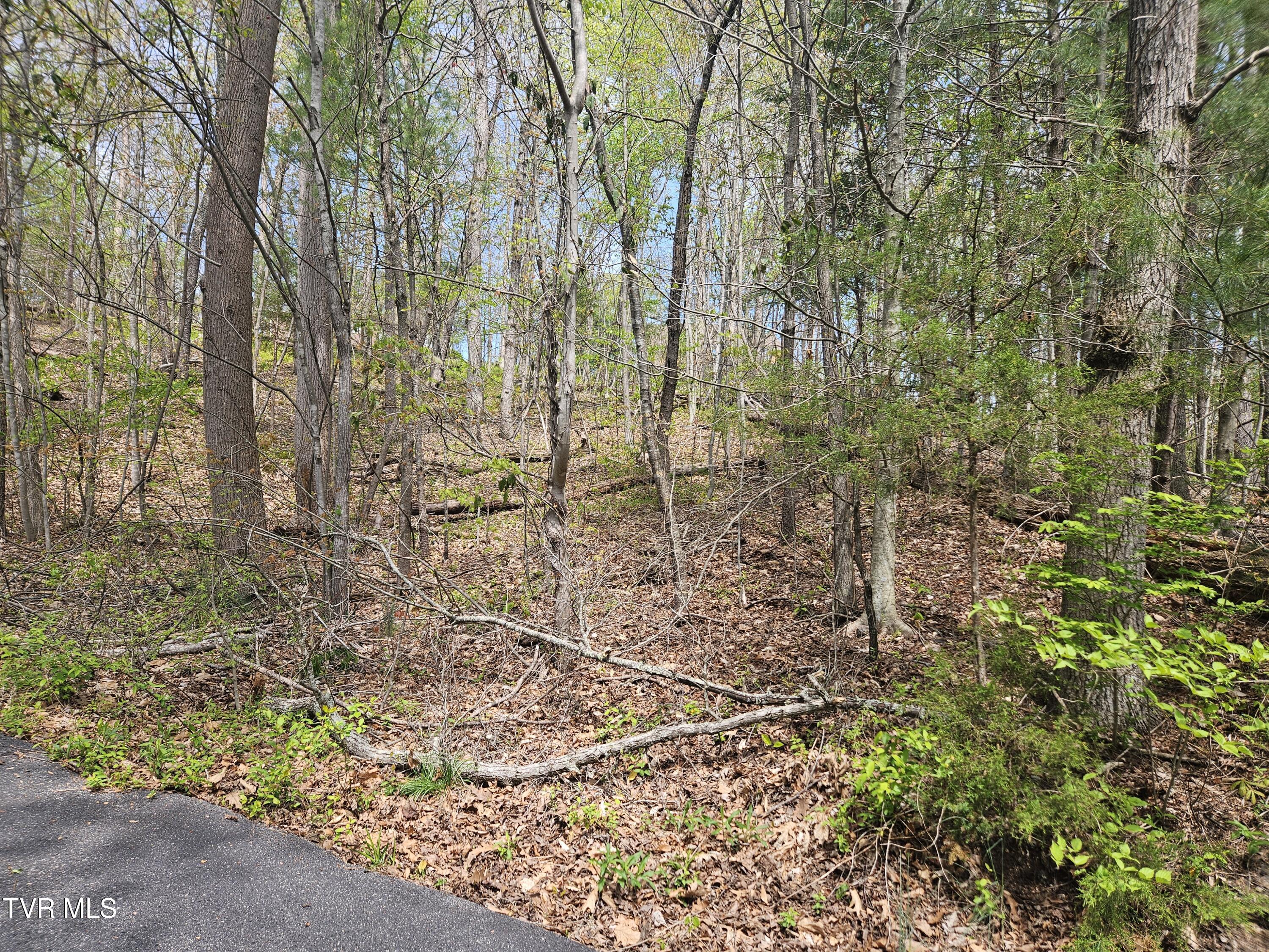 Property Photo: 0 Arnold Palmer Dr TN 37743