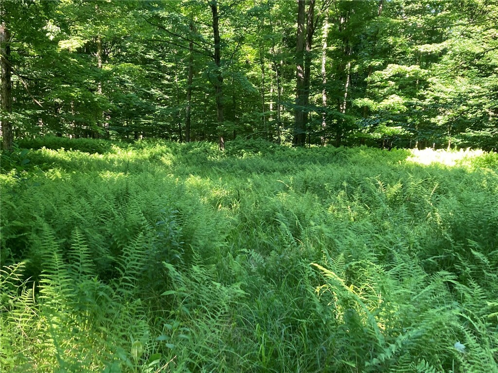Property Photo:  Sanford Road  NY 13156 