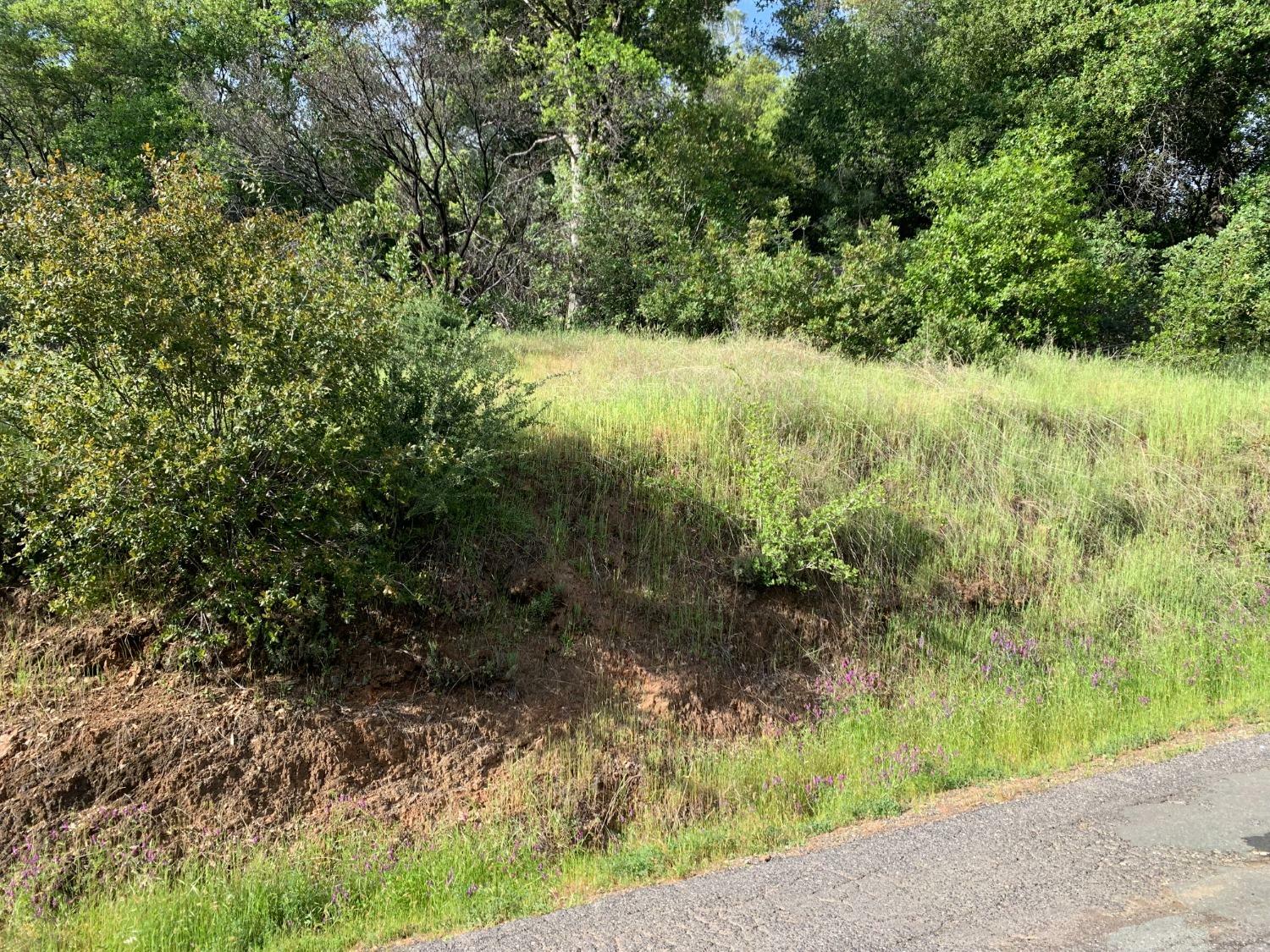 2193 Skunk Ranch Road  Murphys CA 95247 photo