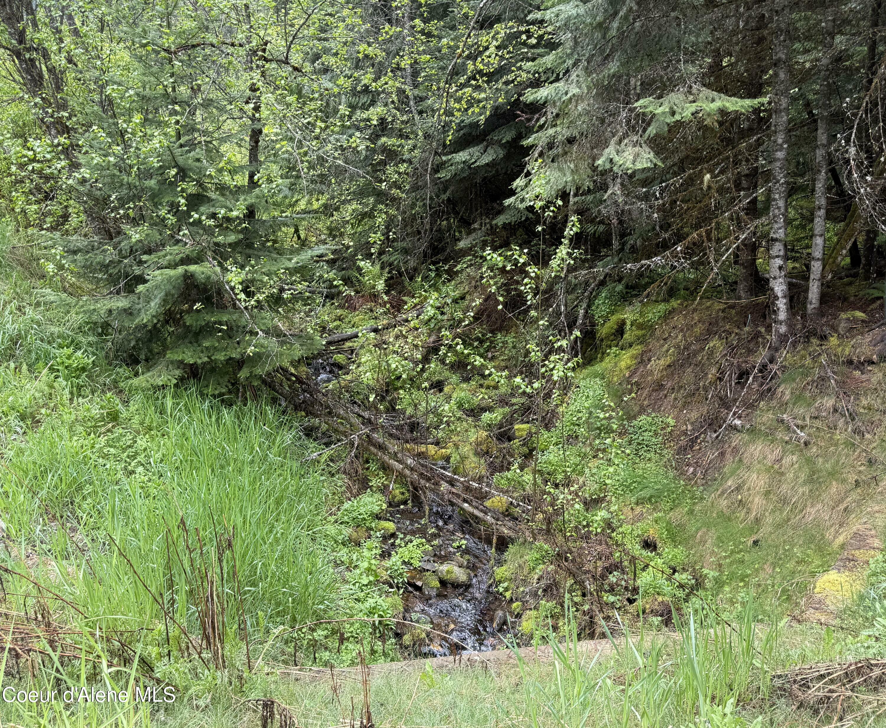 Property Photo: 498 Revenue Gulch Rd ID 83867