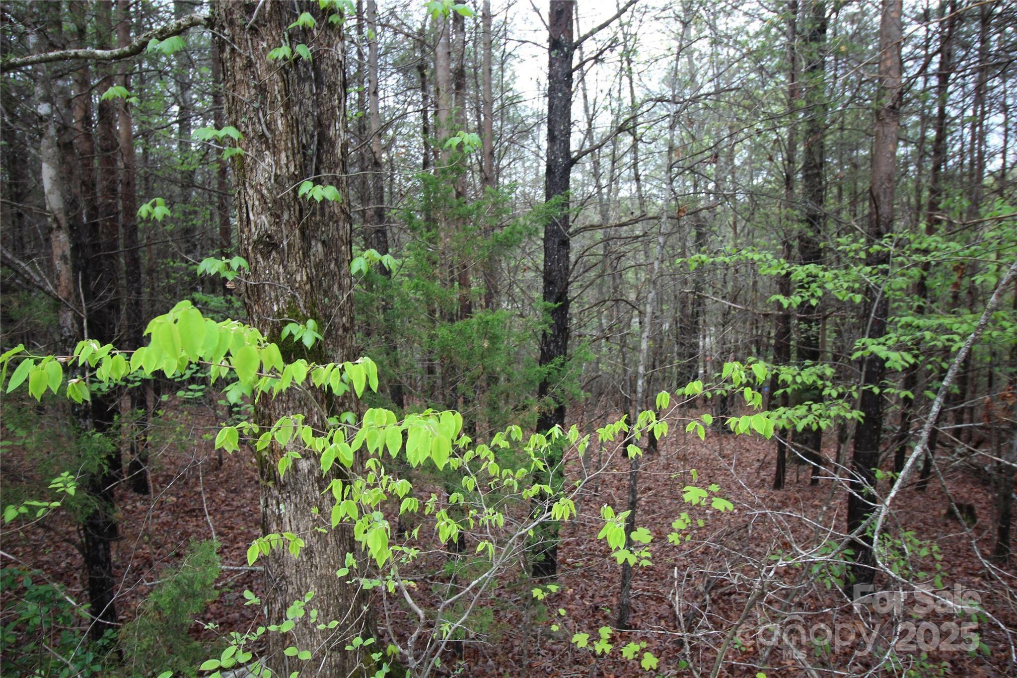 Property Photo: Lot #10 Ridge Way Lot 10 NC 28752