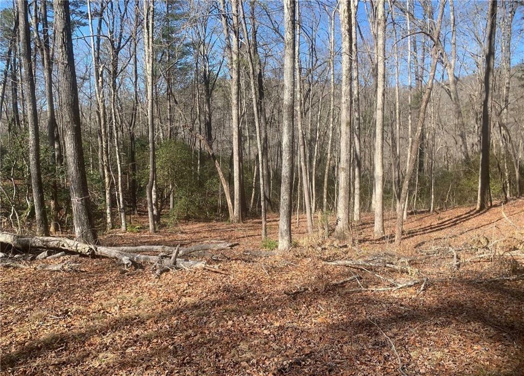 4 Silverado Lane  Clayton GA 30525 photo