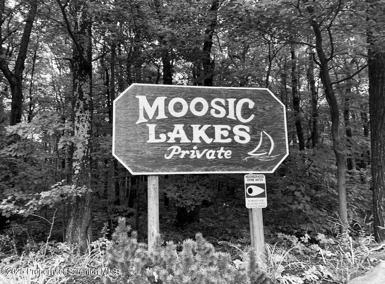 Little Lake Road  Jefferson Twp PA 18436 photo