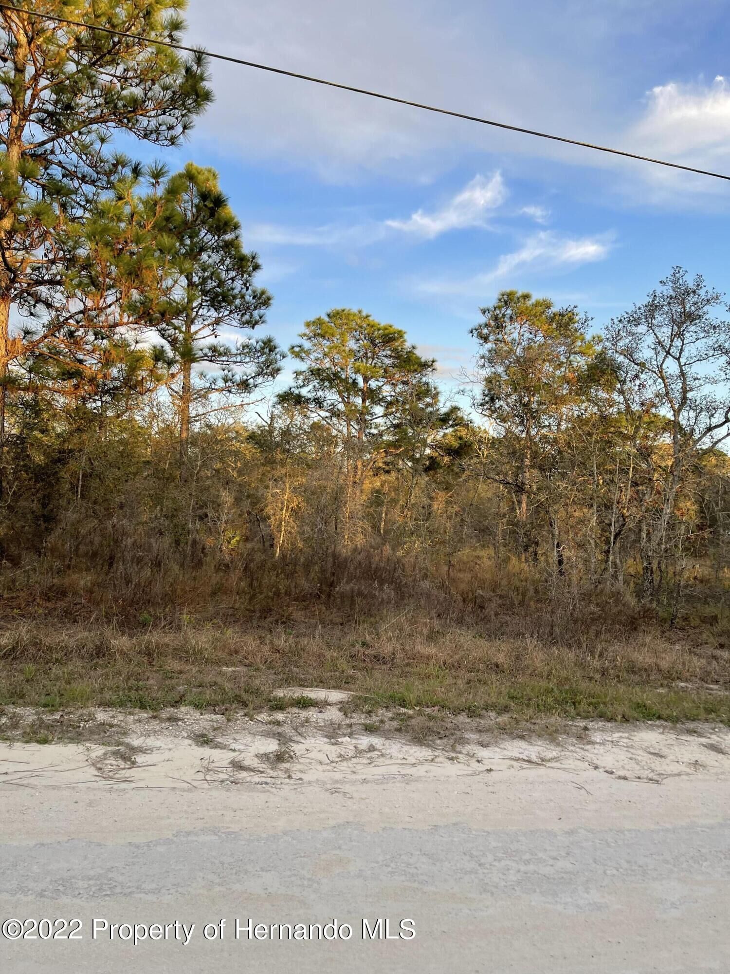 Property Photo:  0 Everglades Kite Road  FL 34614 
