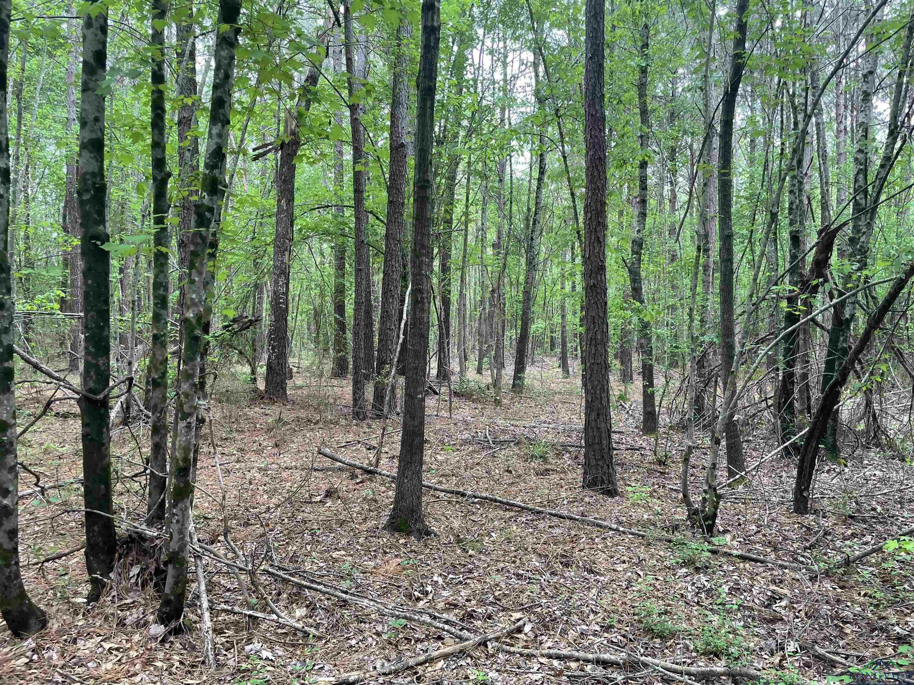 Tbd Red Oak Rd  Marshall TX 75670 photo