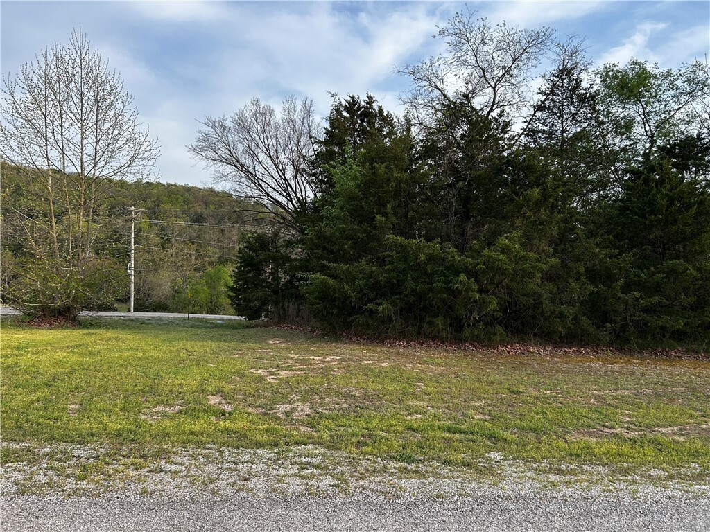 Property Photo:  Leatherwood Drive  AR 72631 