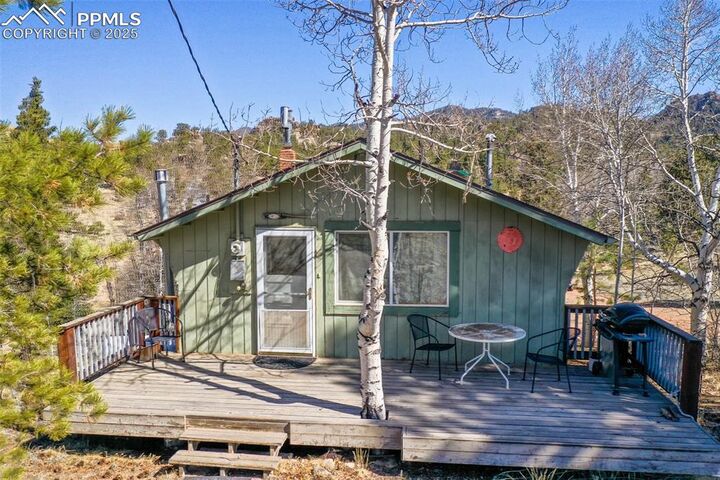 256 Whale Drive  Lake George CO 80827 photo