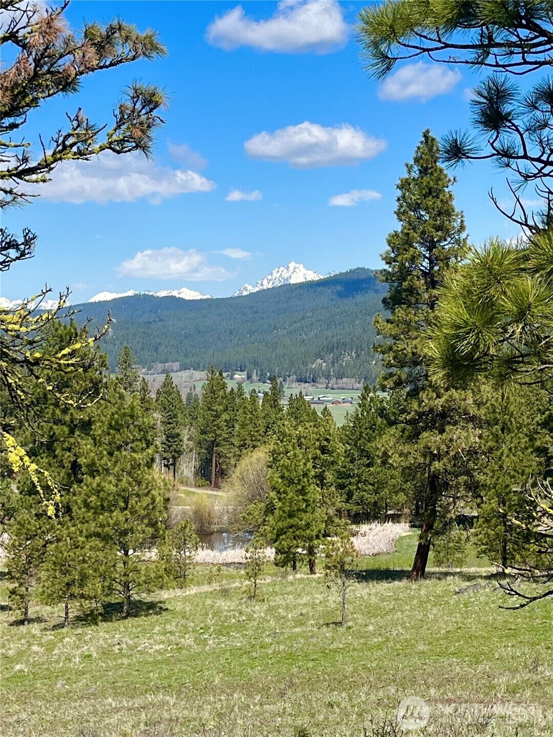 Property Photo: 0 Xxx - Forest Grove Way WA 98922