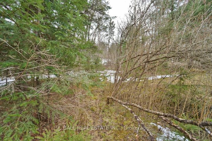 Property Photo:  0 Unopened Road Allowance N/A  ON K0L 1C0 