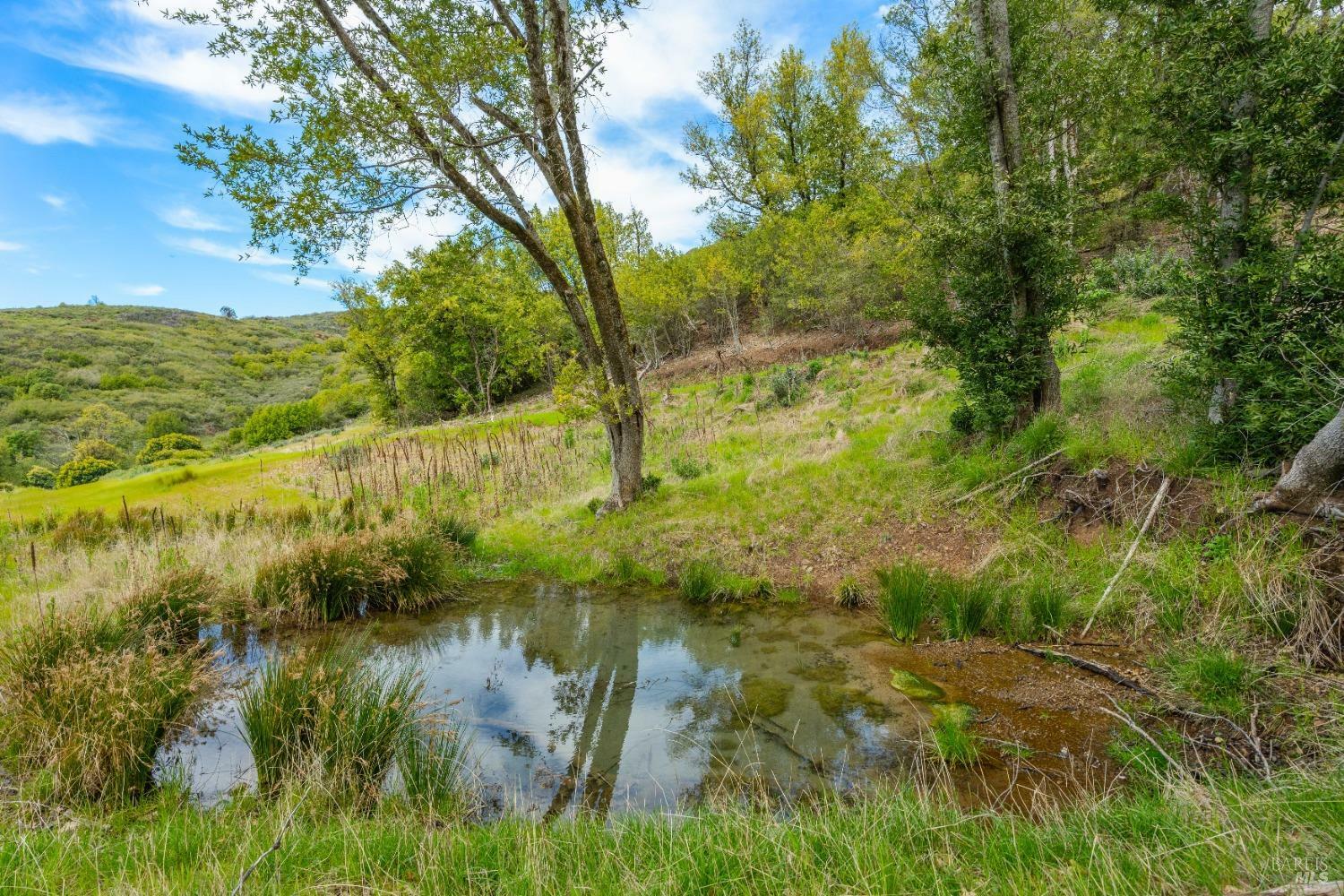 Property Photo:  35150 Pine Mountain Road  CA 95425 