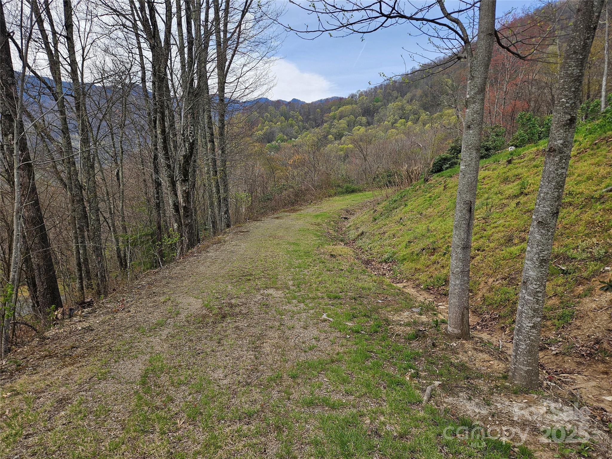 Property Photo:  Tbd Davy Crockett Drive 109-112  NC 28751 