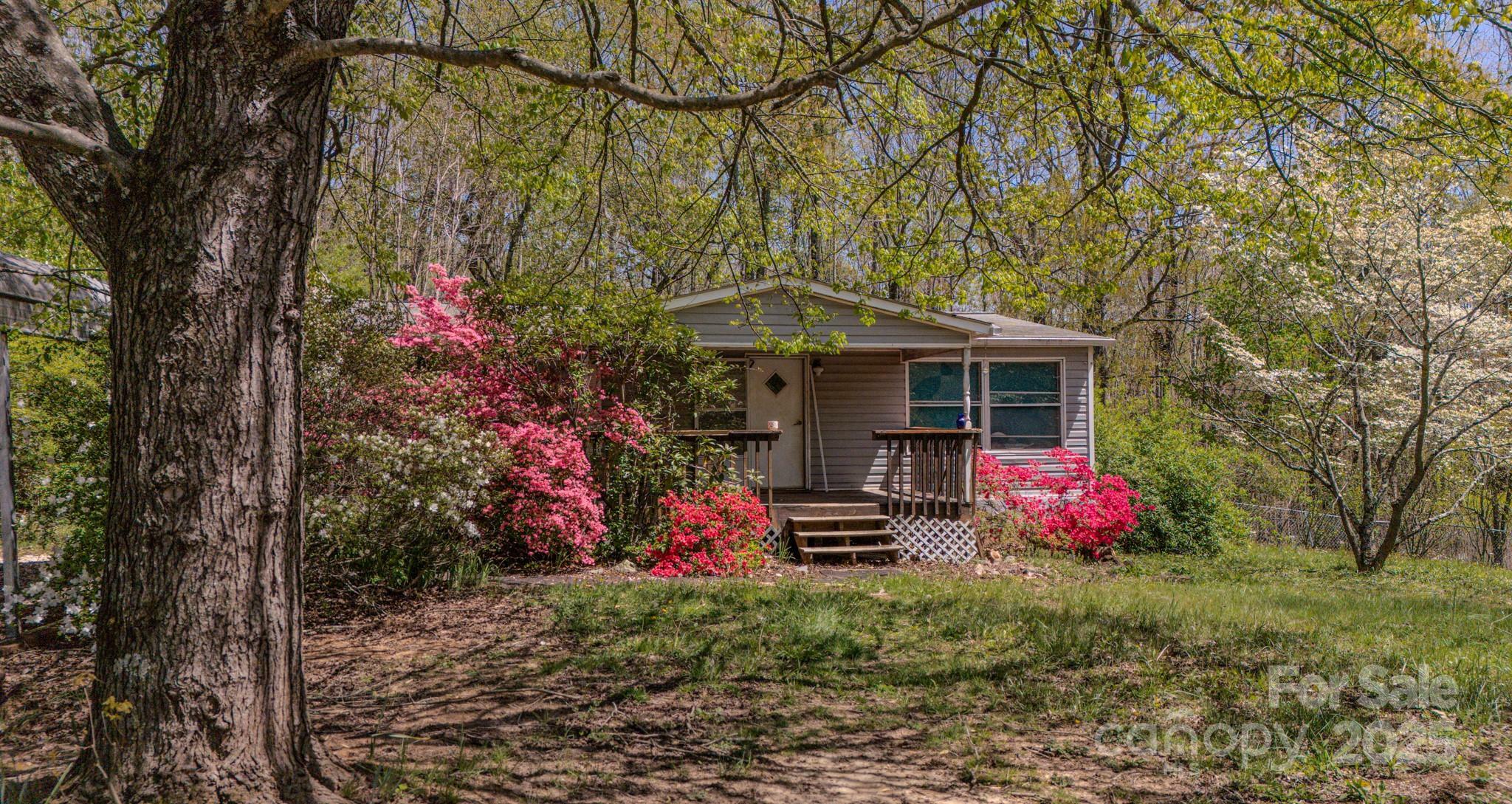 19 Blackberry Lane 42  Candler NC 28715 photo