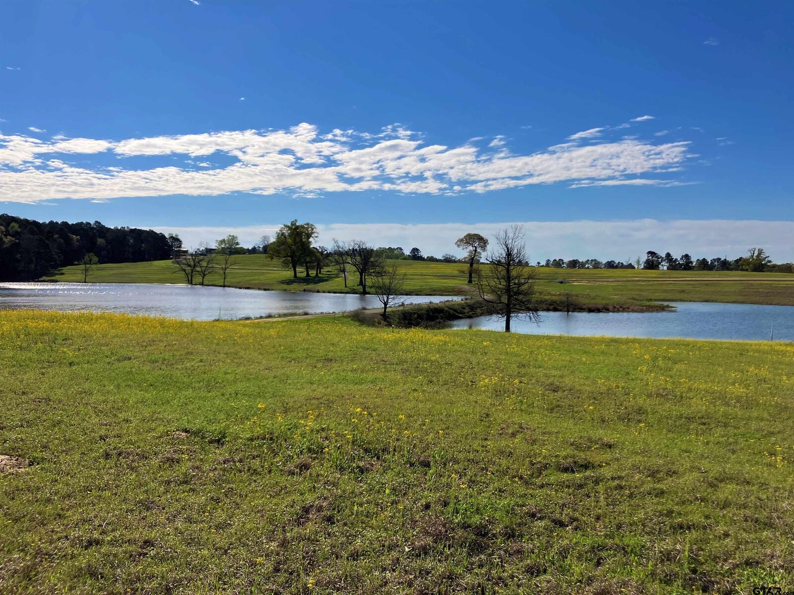 Property Photo:  Lot 49 White Oak Creek Ranch  TX 75755 