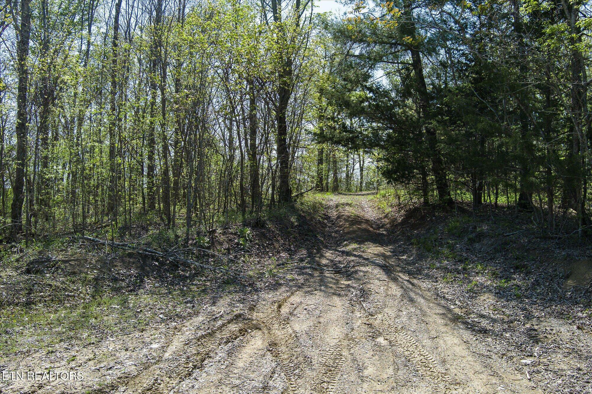 Property Photo: Fire Tower 12.2 Ac Rd TN 38583