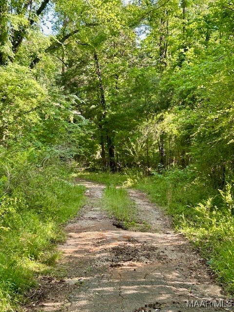 Property Photo: 0 Sherling Lake Road AL 36037