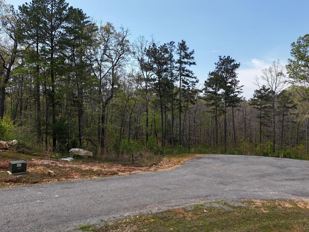 Property Photo: 129 Red Hawk Lane GA 30540