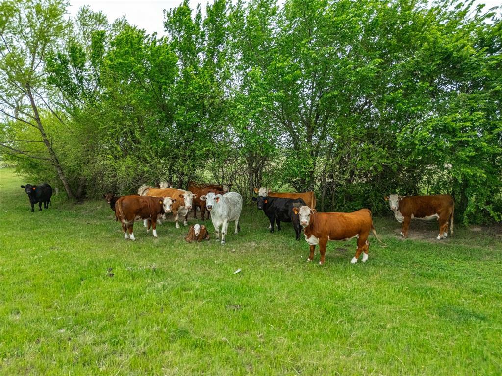 Tbd Lot Pt 15 &Amp 16 County Road 1271  Alvord TX 76225 photo