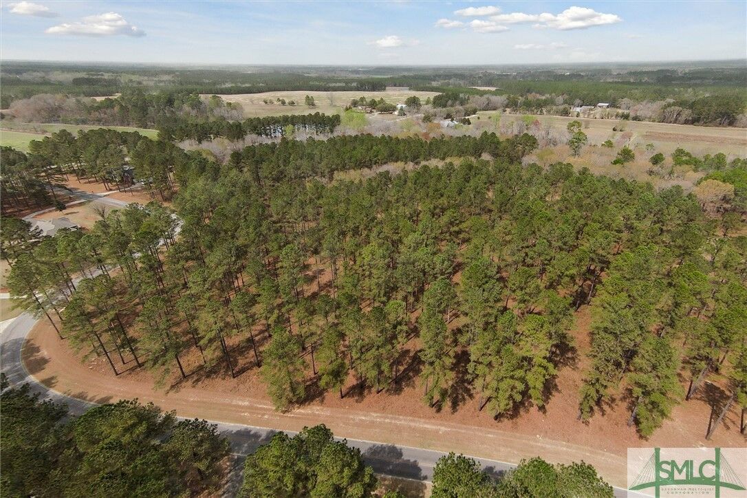 Property Photo:  14 Pine Ridge Drive  GA 30417 