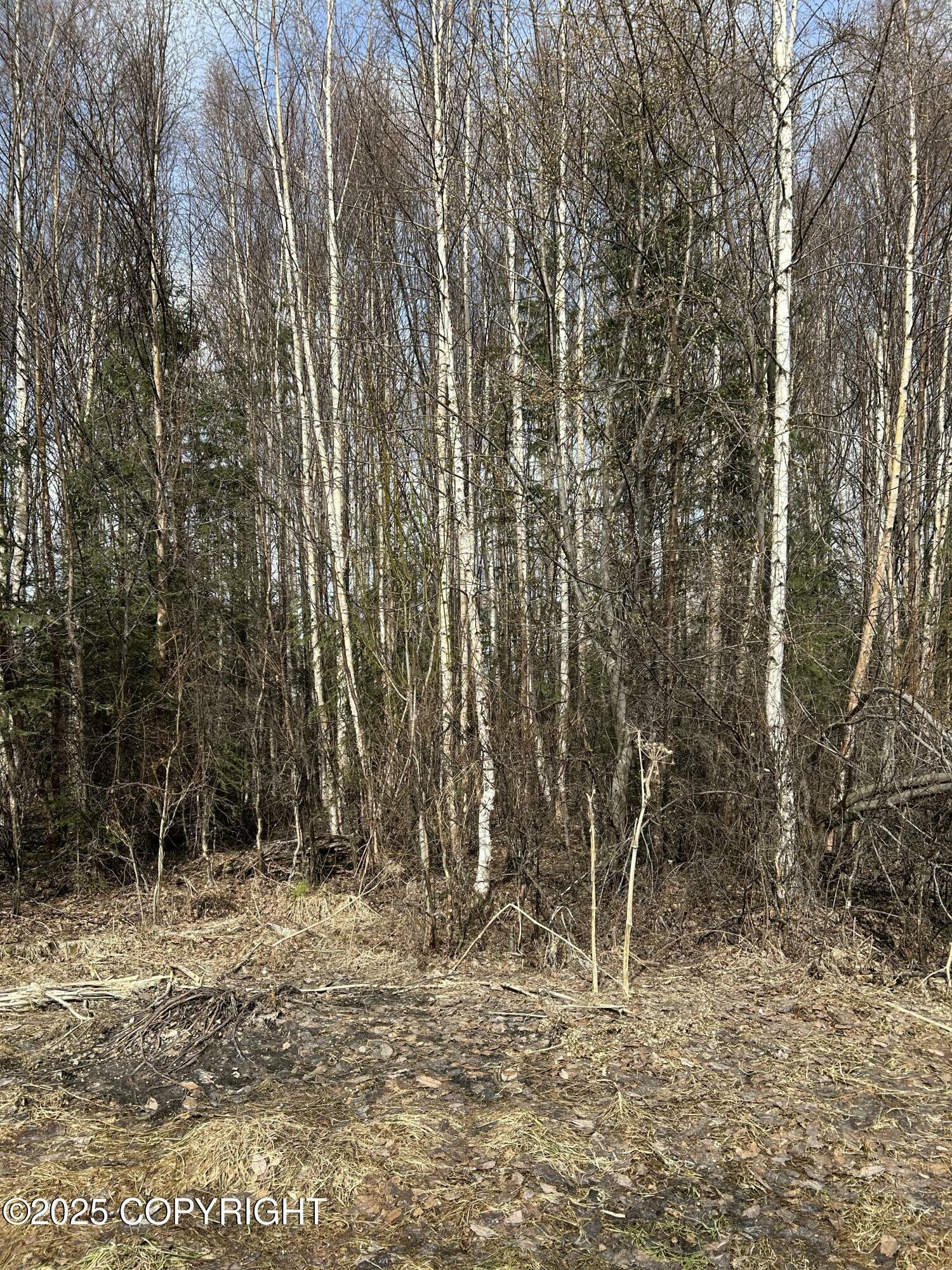 Property Photo: L18 B2 Chugach Meadows AK 99507