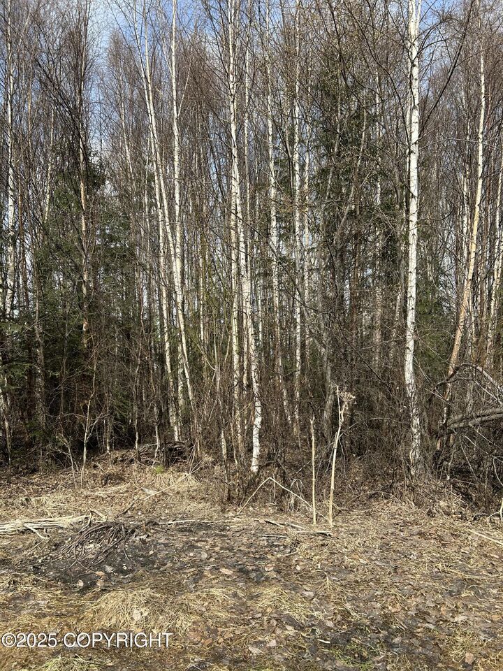 Property Photo:  L18 B2 Chugach Meadows  AK 99507 