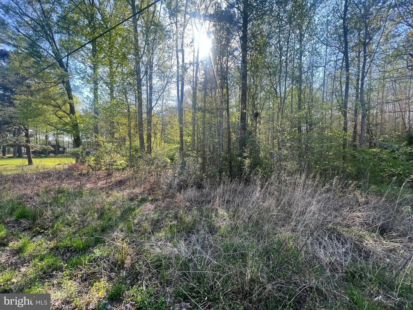 Property Photo: Lot 1 Mt Holly Road VA 22520