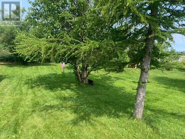 Property Photo: 1 Tuff Square NL A0G 4R0