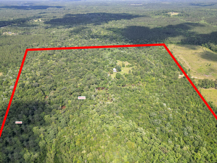 Property Photo:  92 Hummingbird Lane  FL 32455 