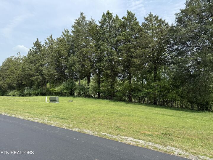 Property Photo:  203 W. Shore Dr.  TN 37854 