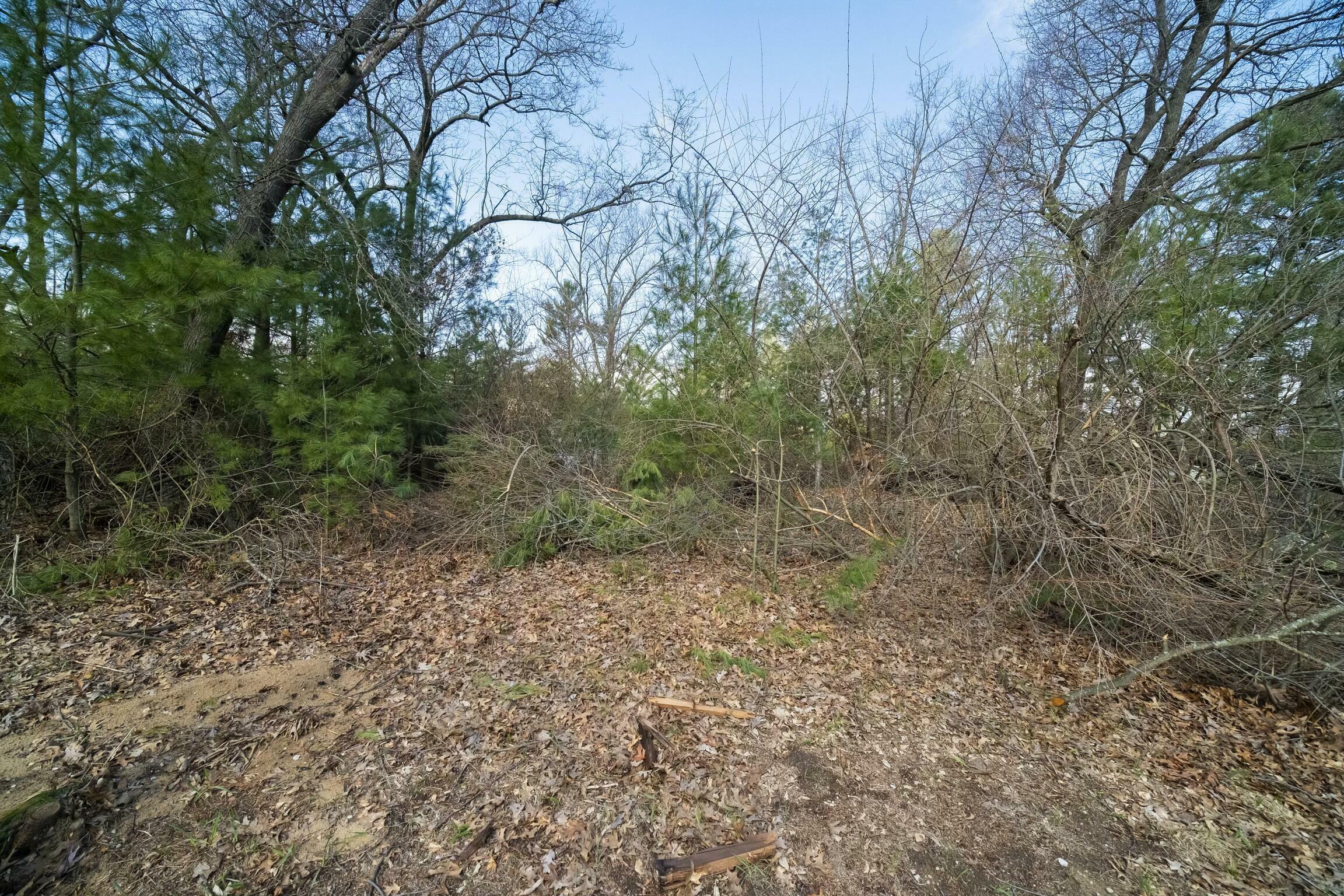 Property Photo:  Nelson Street  MI 49660 