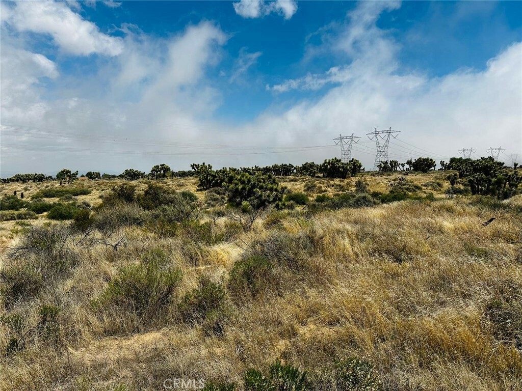 Property Photo: 0 Tumbleweed Rd. CA 92371