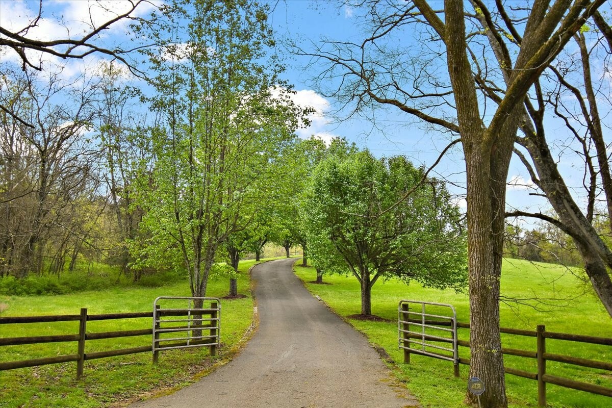 Property Photo: 389 Bluestocking Hollow Rd TN 37160