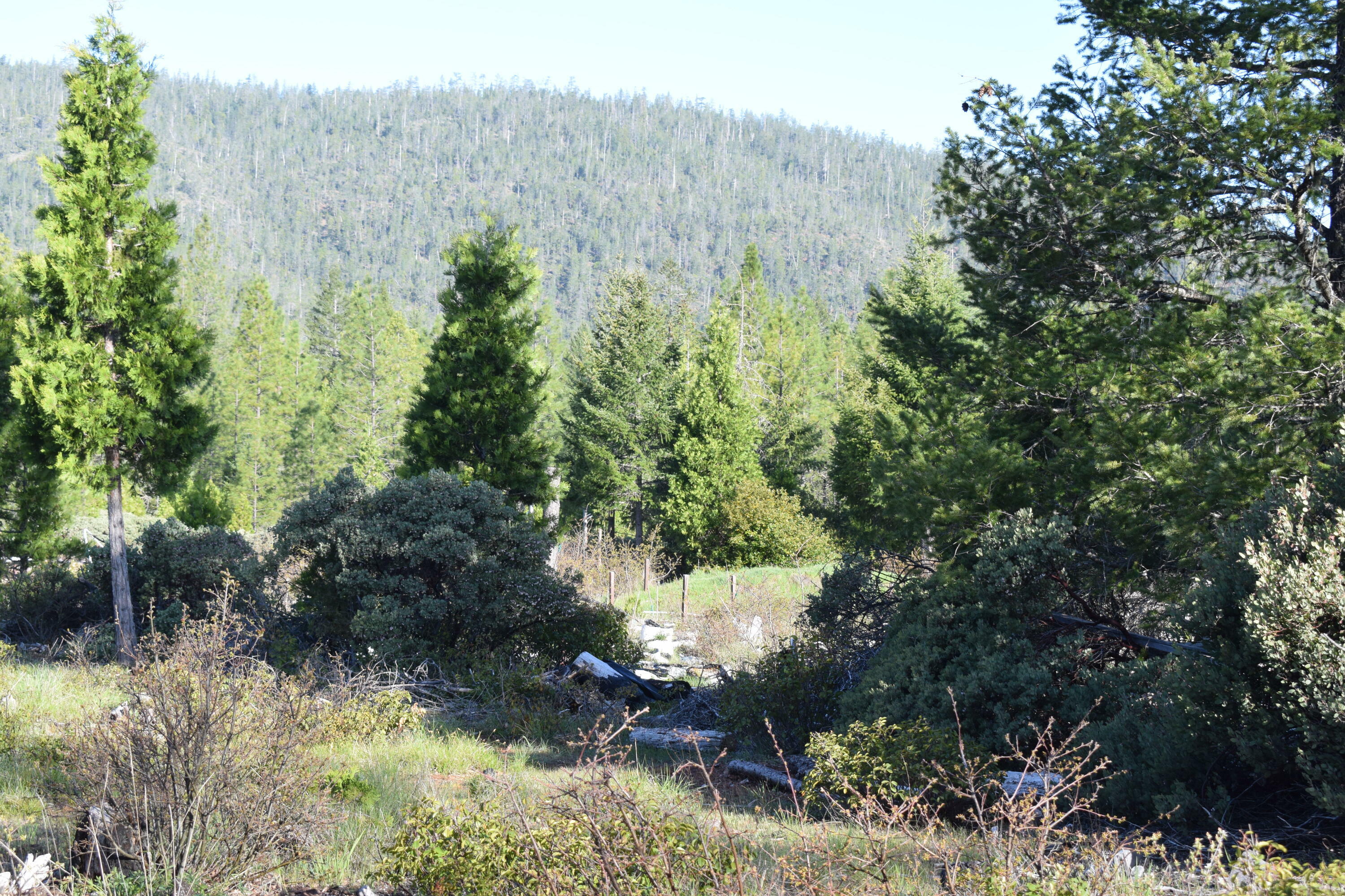 Property Photo: Lone Mountain Road 1200 OR 97534