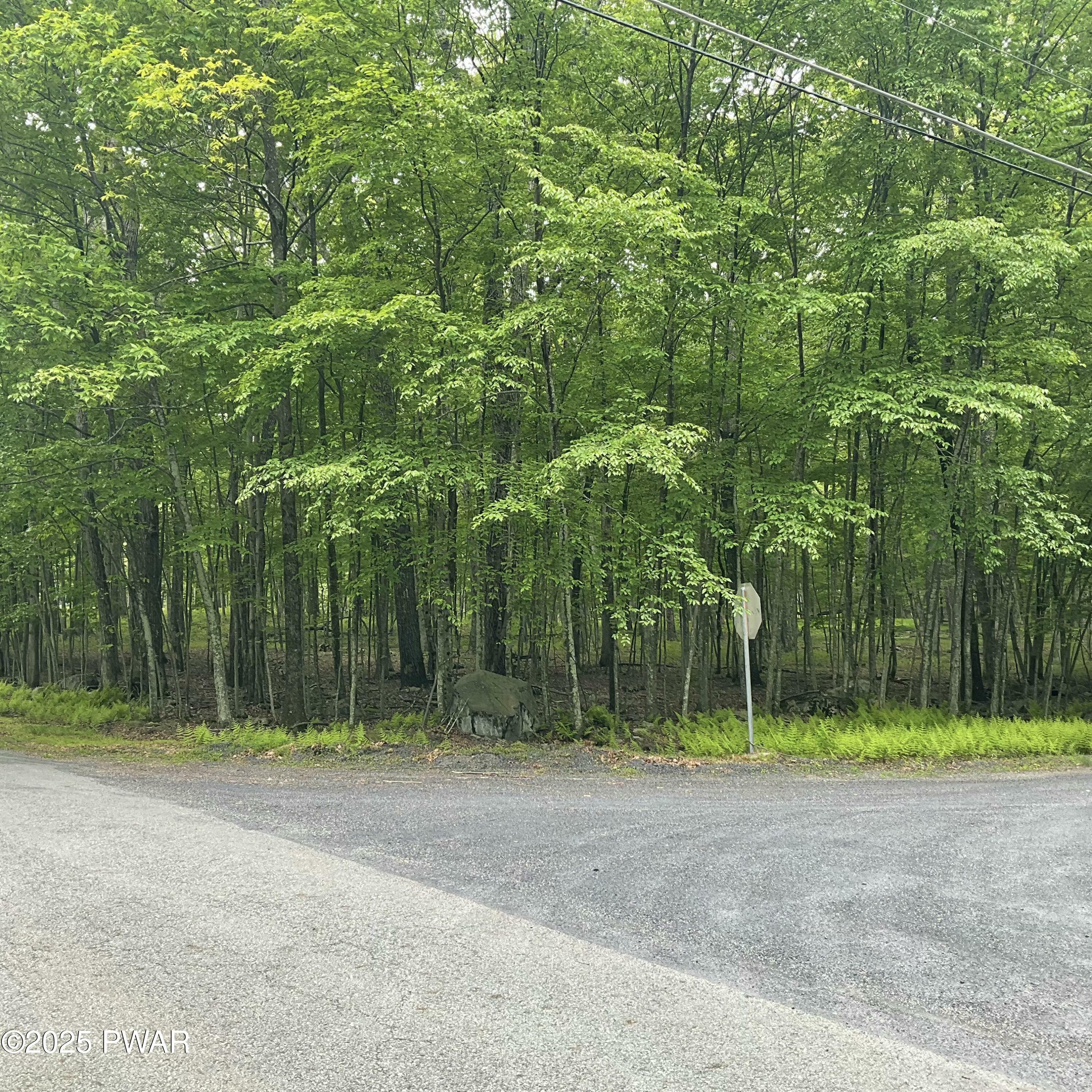 Property Photo:  105 Duffys Drive  PA 18328 