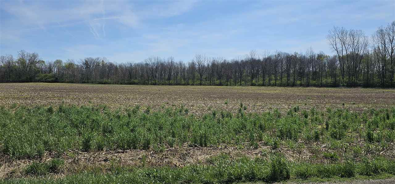 Property Photo:  00 Centerville Road  IN 47393 