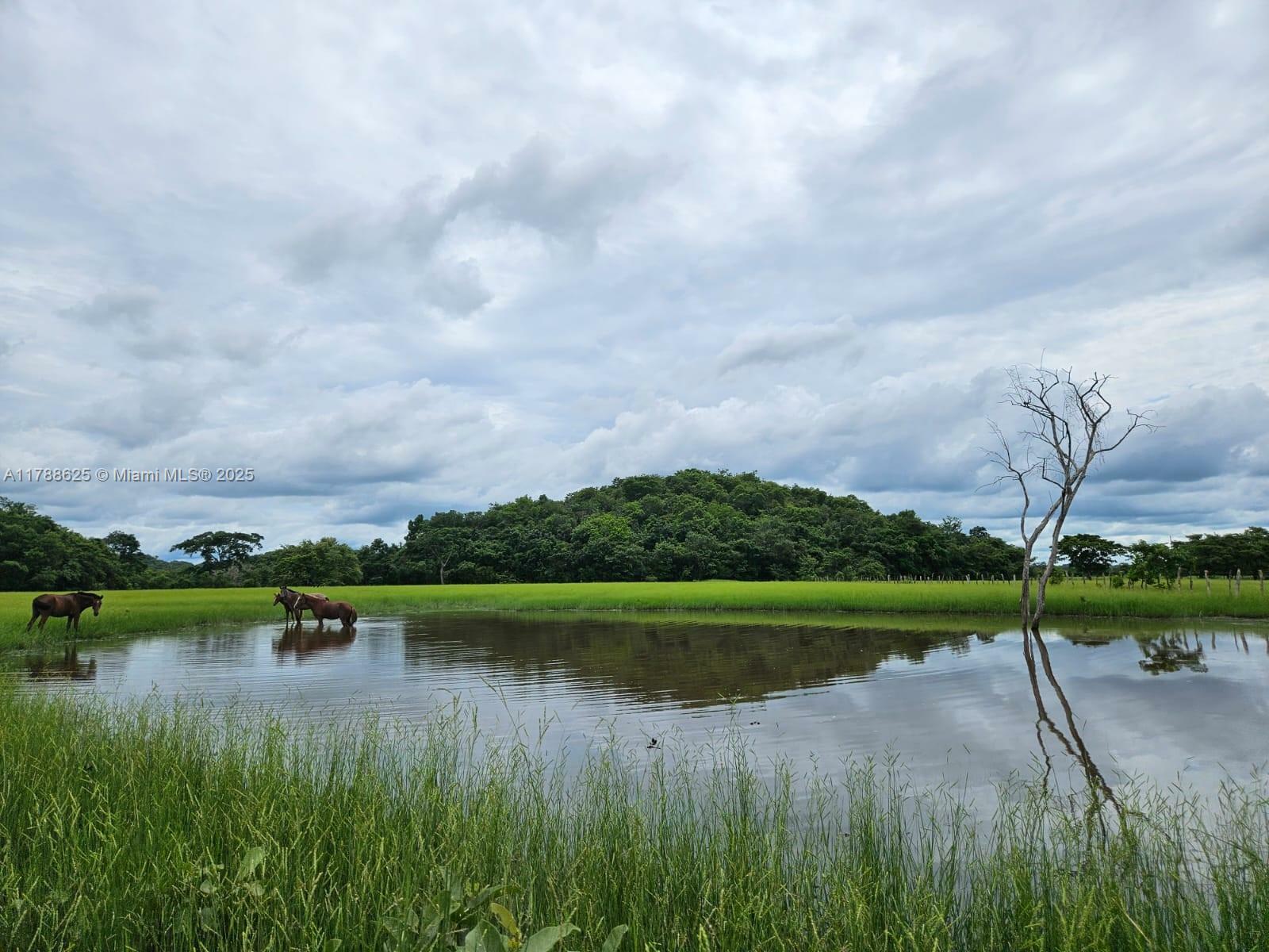 Property Photo: La Libertad PE