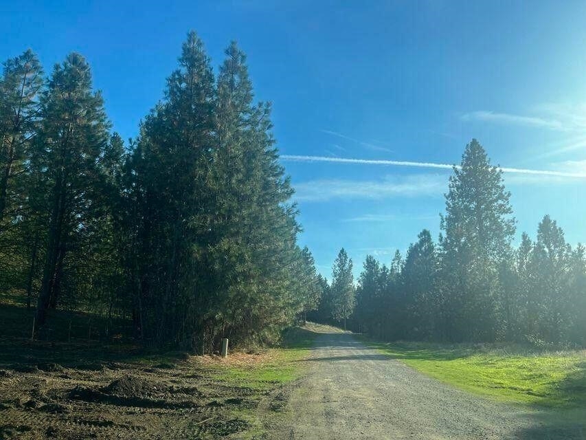 Property Photo: 1388 Ponderosa Way WA 99141