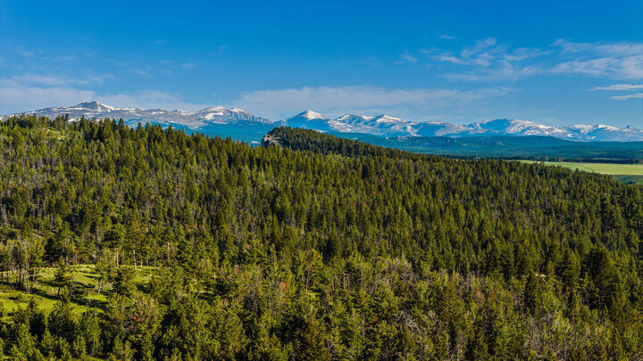 22 High Meadow Road  Buffalo WY 82834 photo