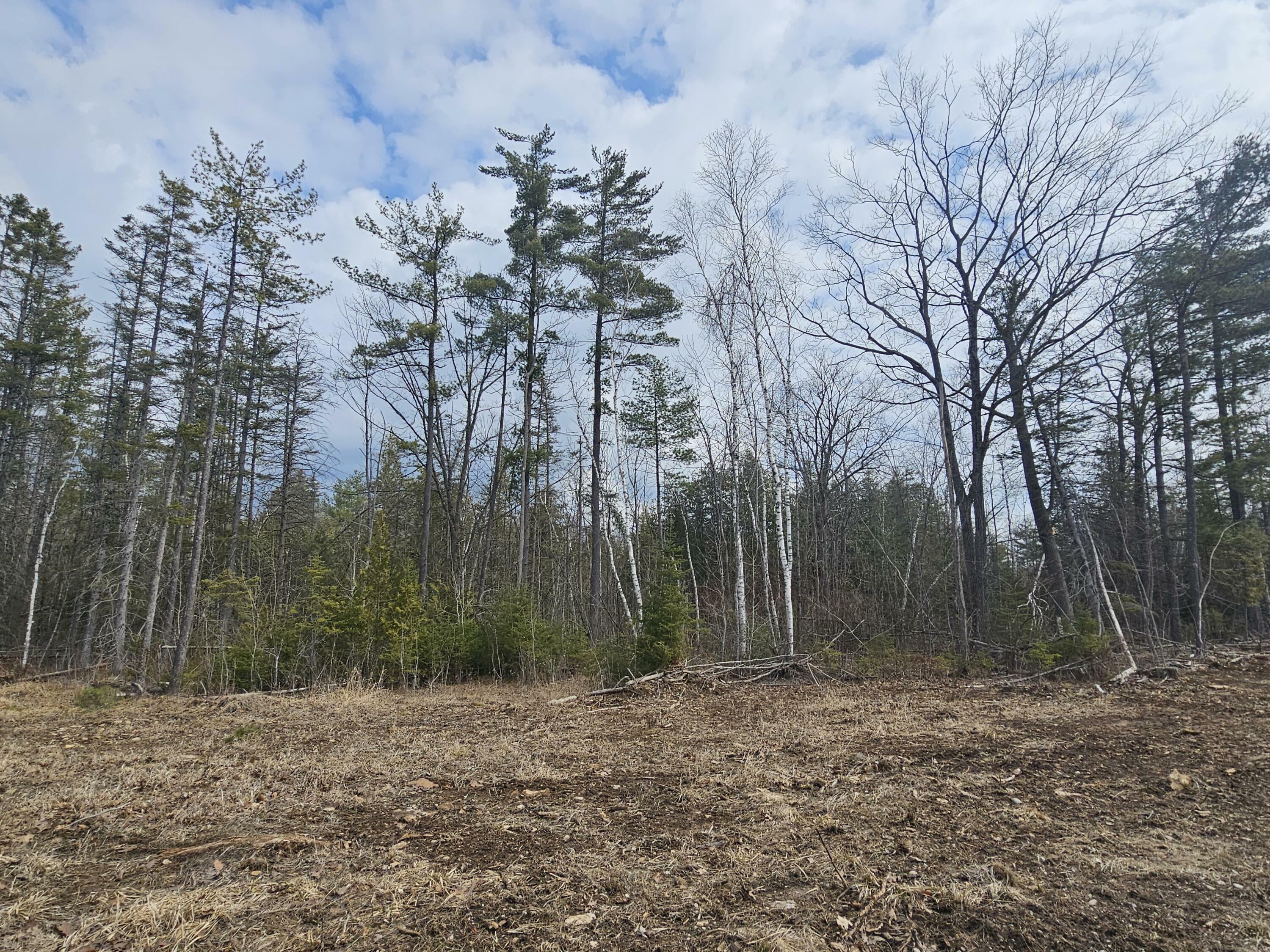 Property Photo: Lake Winyah Road MI 49707