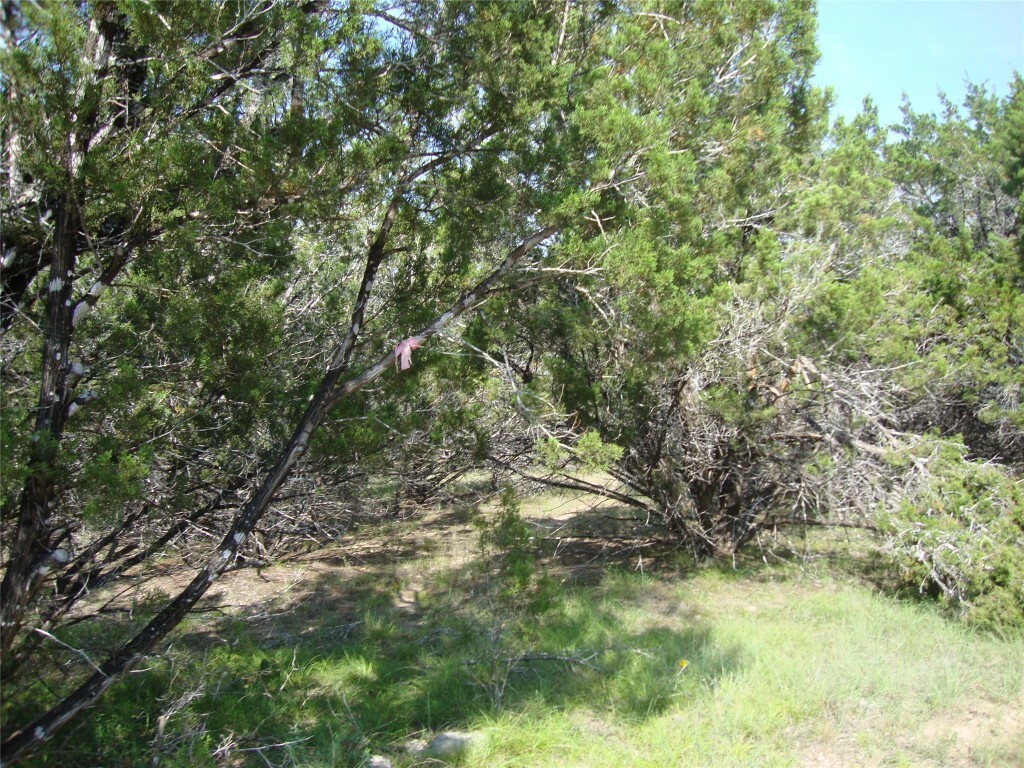 36 Travis Oaks Drive  Marble Falls TX 78654 photo