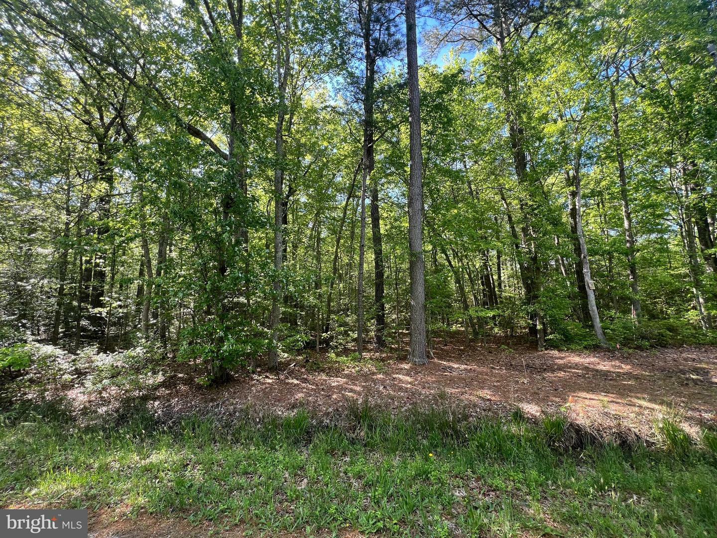 Property Photo: Lot 218 Ware Neck Road VA 23061