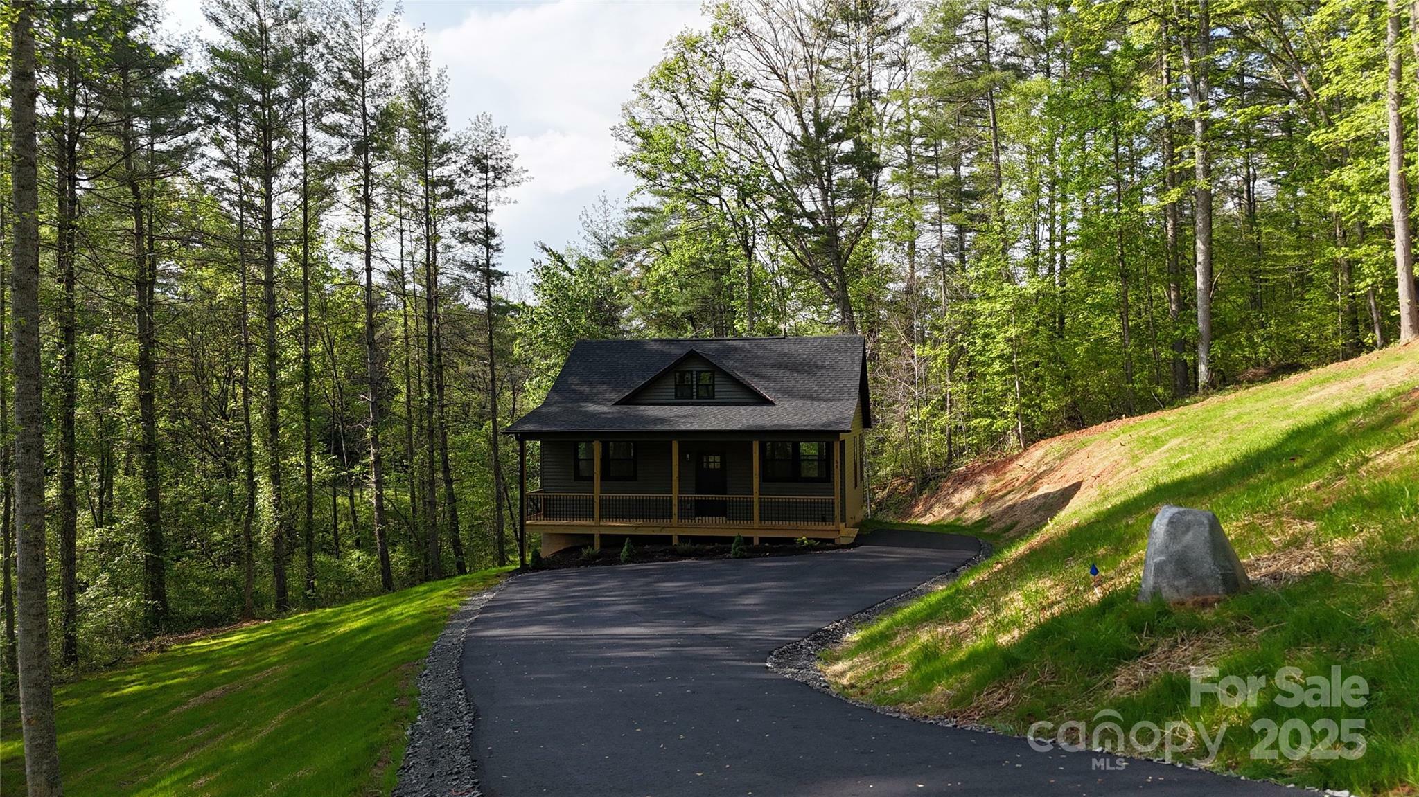 Property Photo: 60 Country Cove Court NC 28748