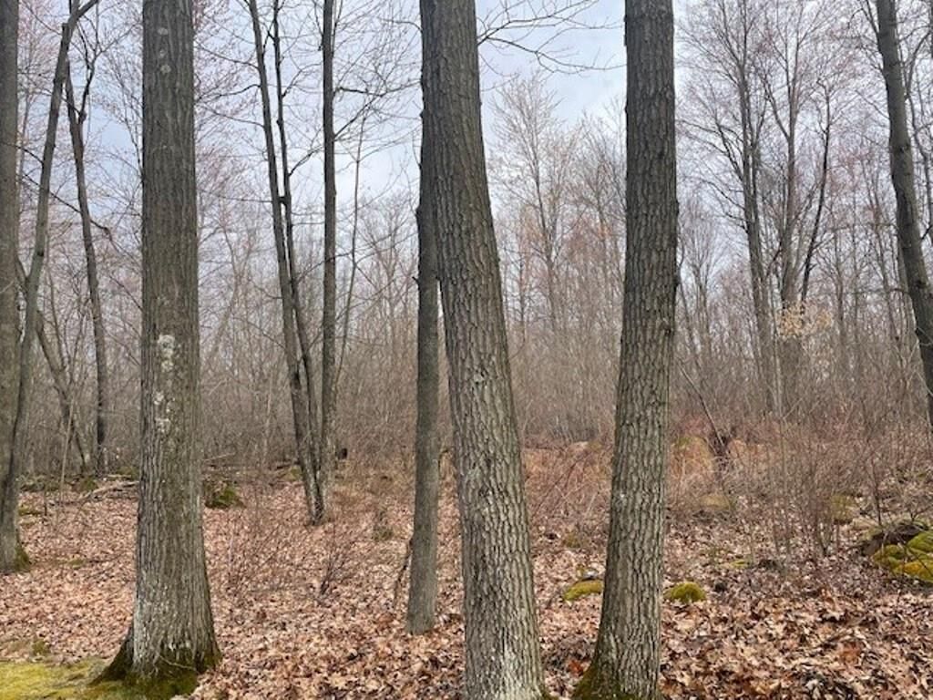 Property Photo: 29.64 Acres Gusman Road WI 54476