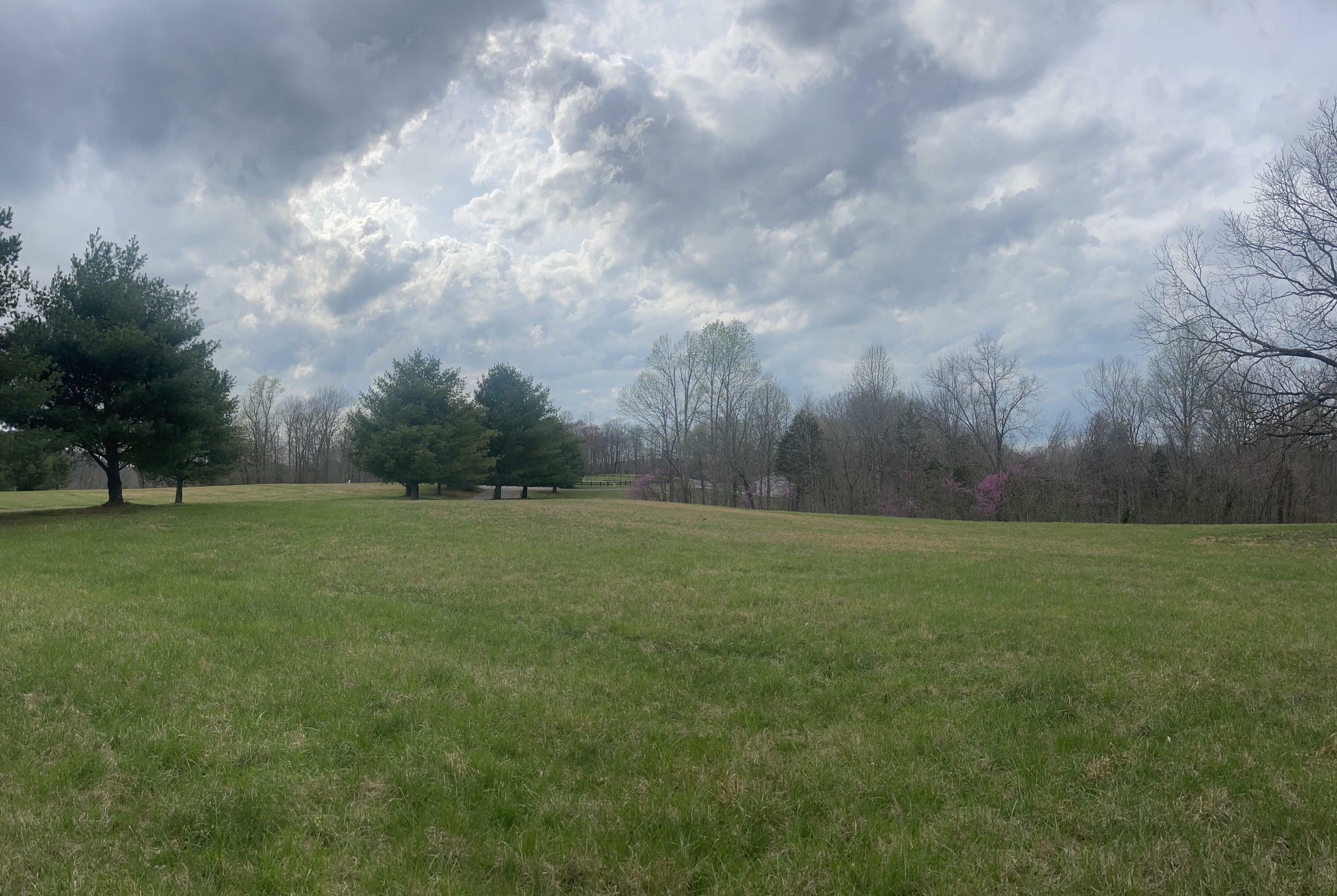 Property Photo: Lot 114 Parks Ridge KY 42642